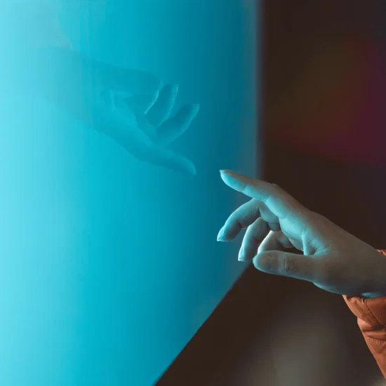 SAP Purchase Order IDOC with custom fields extension