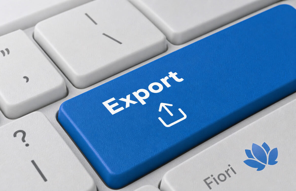 export img